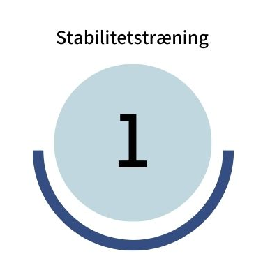 Stabilitetstraening step1